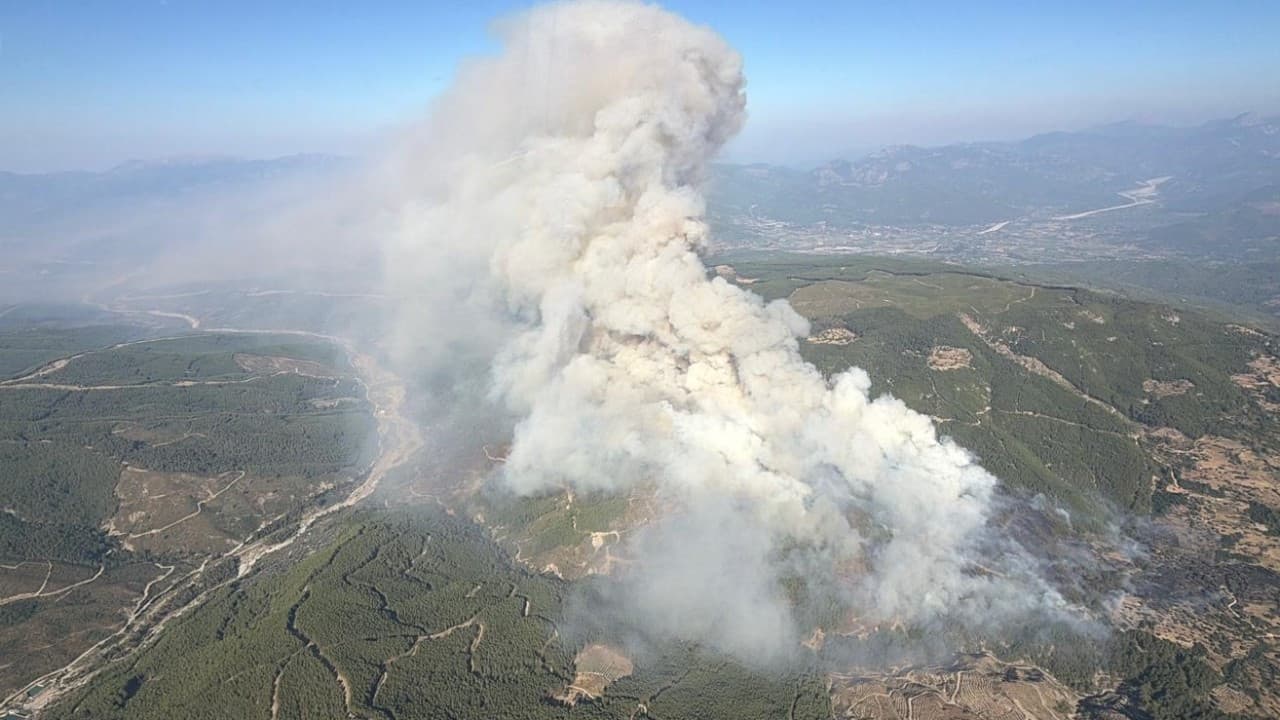 Muğla'da orman yangını nedeniyle Fethiye-Antalya yolu kapatıldı