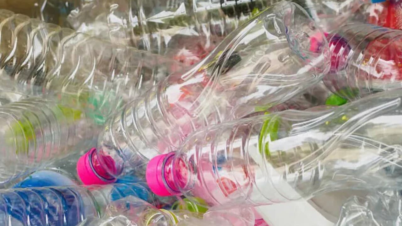 AB'de ambalajlarda yeni düzenleme yarın başlıyor: PFAS kullanımı yasaklanacak