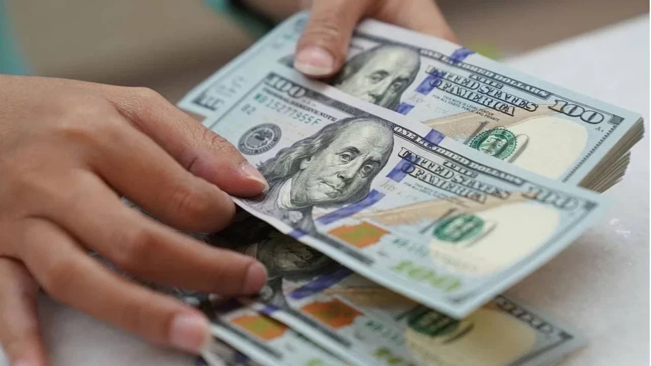 Döviz Kurları: Dolar ve Euro Fiyatları (15 Ağustos)