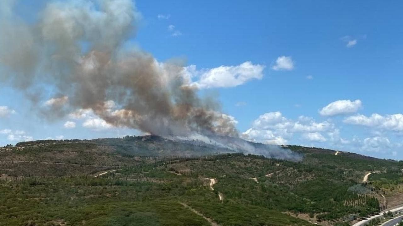 Kocaeli'de orman yangını kontrol altına alındı