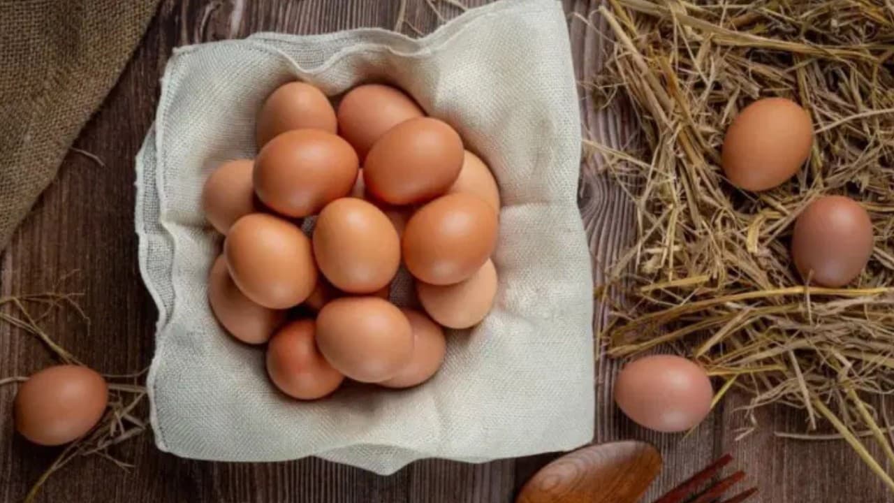 FDA, geri çağrılan 19 milyon yumurta için en yüksek seviyeyi belirledi