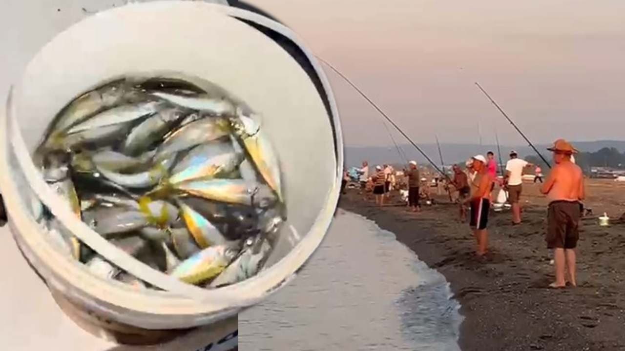 Karacabey'de istavrit avı sahilleri canlandırdı