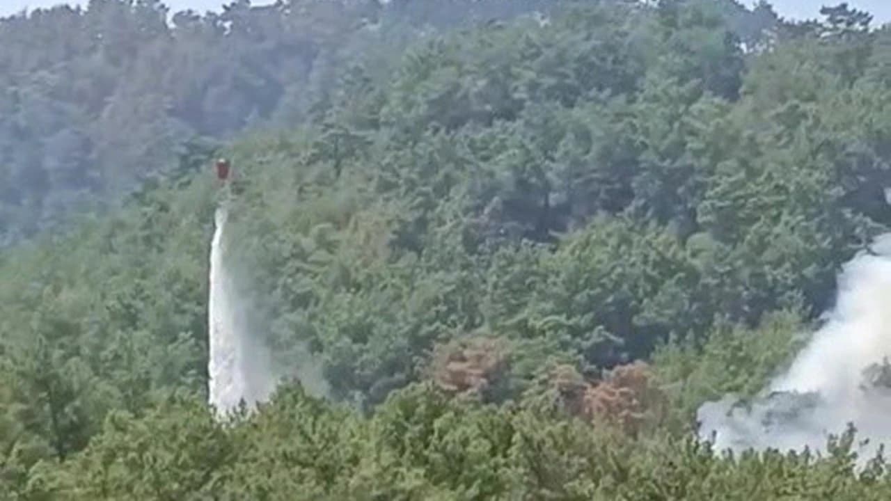 Kozan'daki ormanlık alanda yeniden yangın çıktı