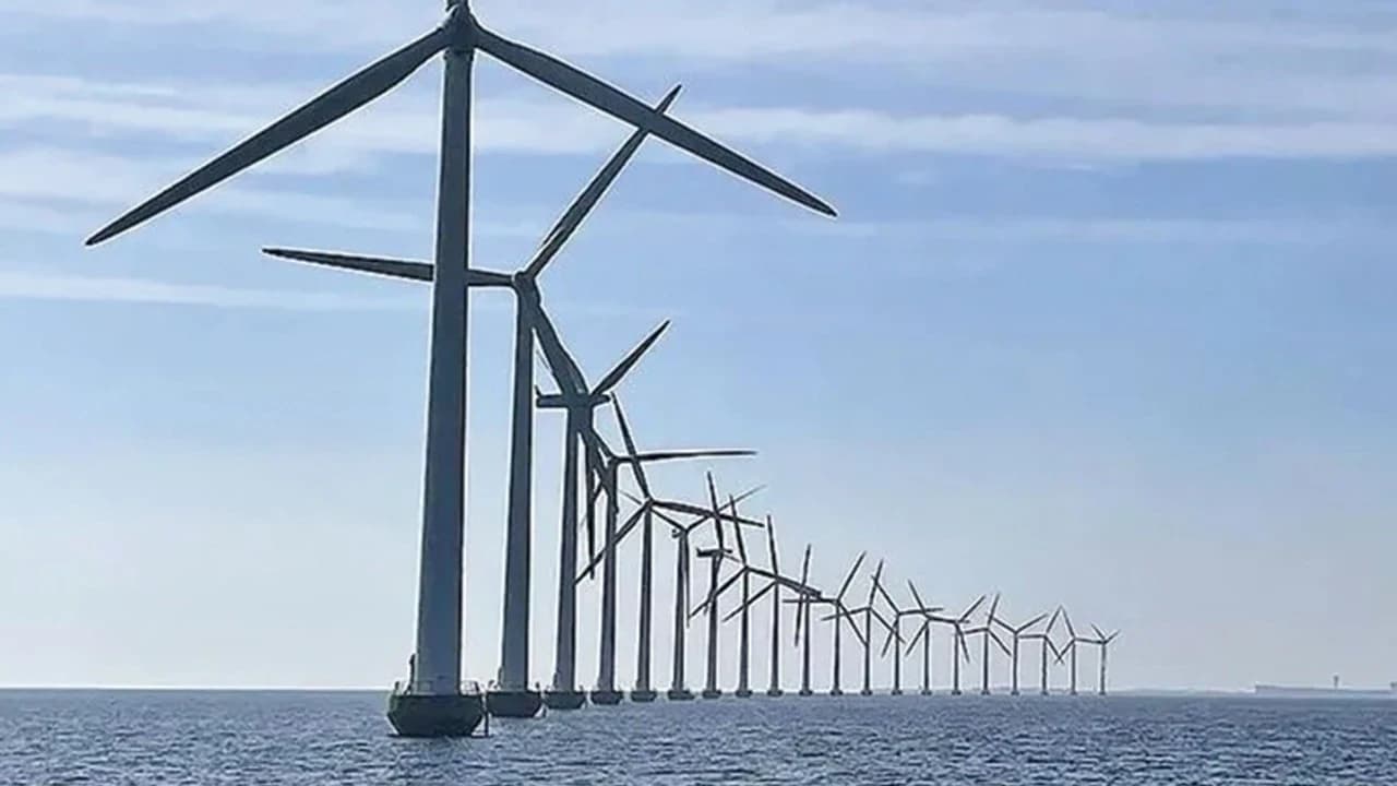 Türkiye, 3 milyar dolarlık rüzgar enerjisi projesine başlıyor