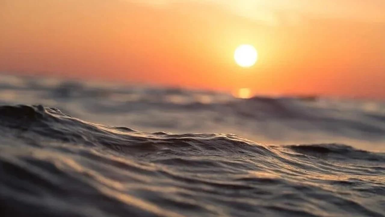 Okyanusların yüzde 90'ı sıcak deniz dalgası riskiyle karşı karşıya