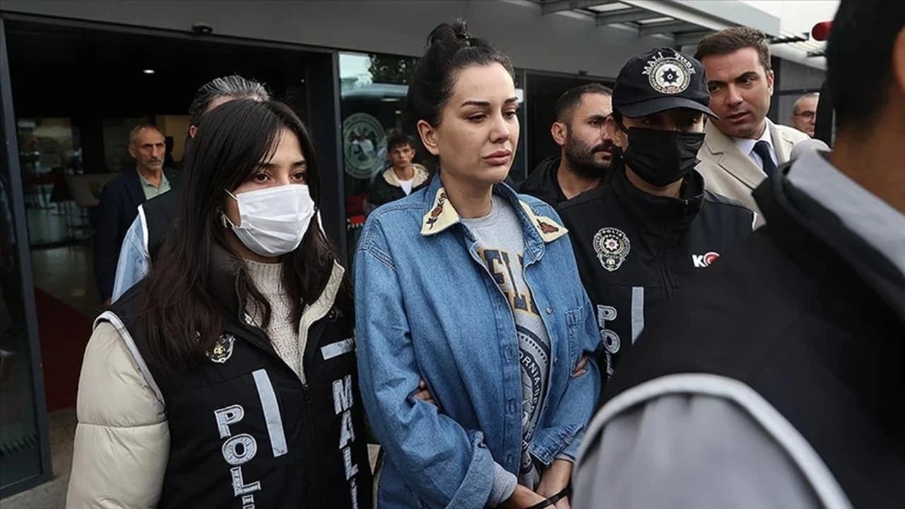 Dilan Polat, Cumhurbaşkanına hakaret iddiasıyla gözaltına alındı
