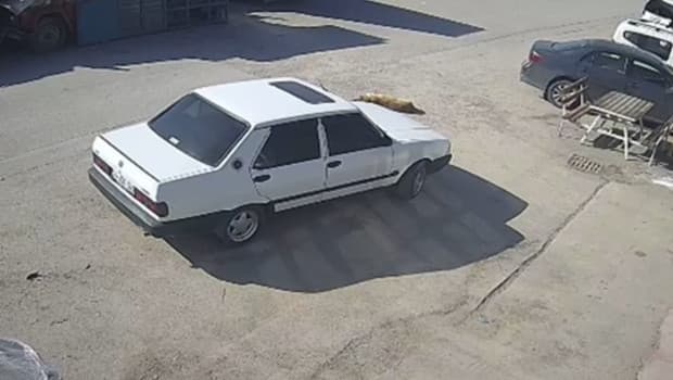 Köpeğin üzerinden otomobili ile geçip, sürükleyen sürücü gözaltında