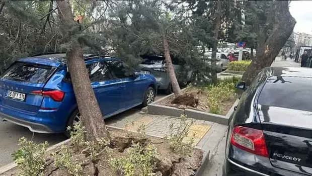 Ankara'da şiddetli rüzgar ağaçları devirdi, direkler yıkıldı