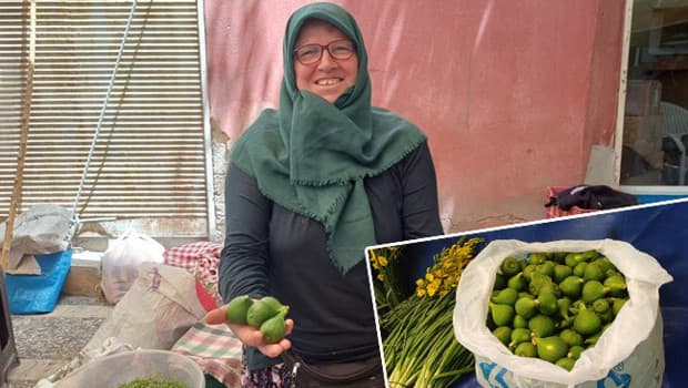 İlekler pazar tezgahlarında yerini aldı