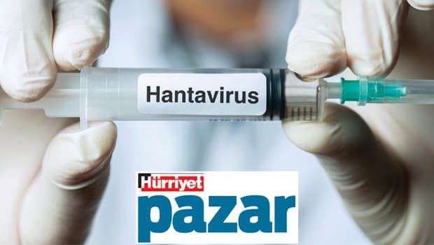 Şehirlerde hantavirüs riski daha az