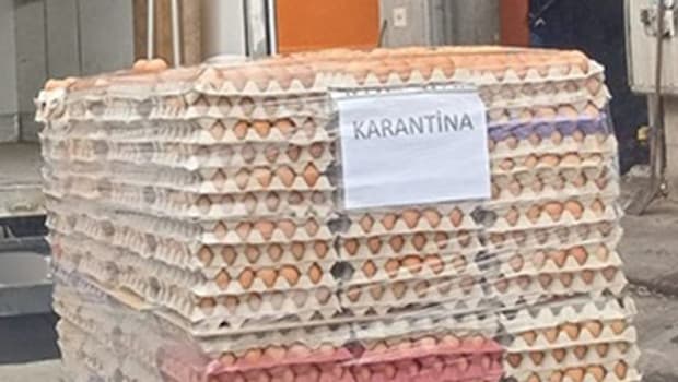 Sakarya'da sahte etiketli 42 bin yumurta ele geçirildi
