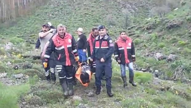 Sivas'ta mantar toplarken ayı saldırısında bir kişi yaralandı