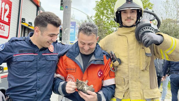 İstanbul İtfaiyesi, tarihi binada mahsur kalan üç yavru kediyi kurtardı