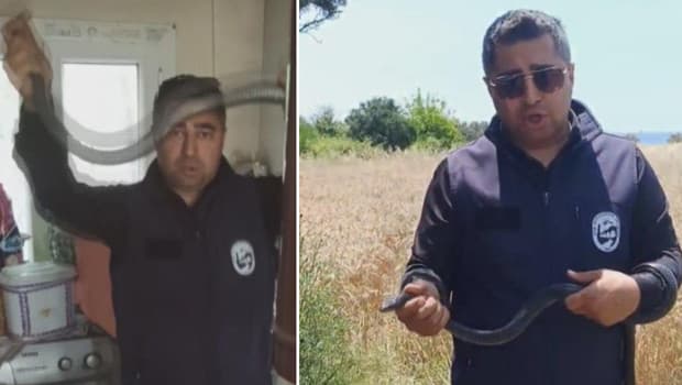 Yılancı Kemal, evdeki yılanı eliyle yakaladı