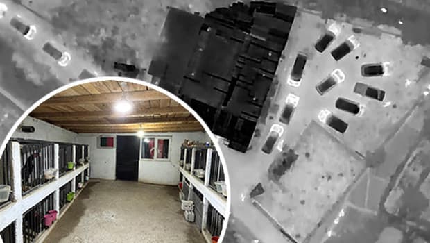 Jandarma, Yusufeli'nde horoz dövüşü ve bahis operasyonu düzenledi