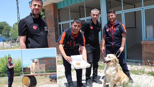 Emekli arama kurtarma köpeği Köpük, sınavda grup ikincisi oldu