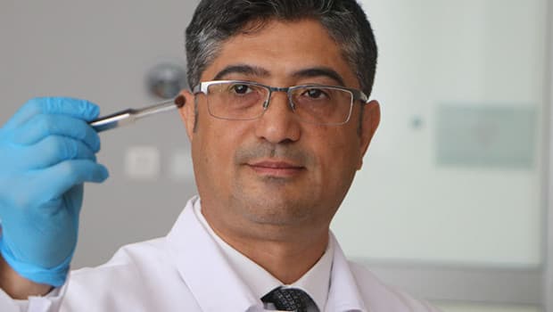 Uzmanlar kene popülasyonunun arttığını belirtti