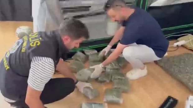 Bakırköy'de serada 4 kilo uyuşturucu ele geçirildi