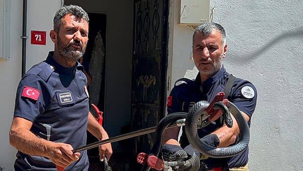 Adıyaman'da evin lavabosundan yılan çıkarıldı