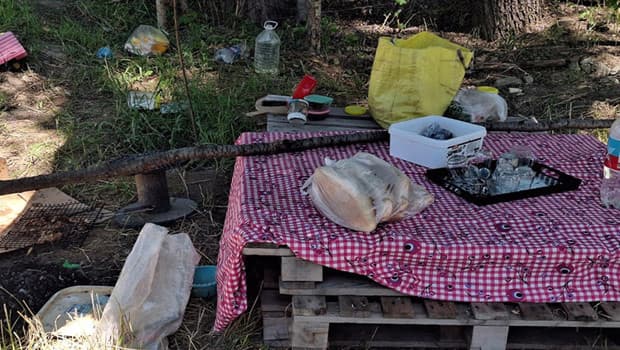 Ankara'da piknikte tartışma cinayetle sonuçlandı