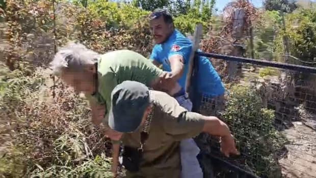 Bodrum'da benzinle kendini yakmak isteyen kişi 100 dönüm alanı ateşe verdi