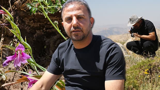 Siirt'te keşfedilen kılıç otu türü dünya genelinde nadir