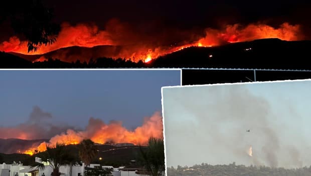 Milas'ta orman yangınına havadan müdahale başladı, 1120 kişi tahliye edildi