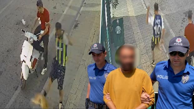 Samsun'da kediye tekme atan kişi tutuklandı, pişman olduğunu söyledi