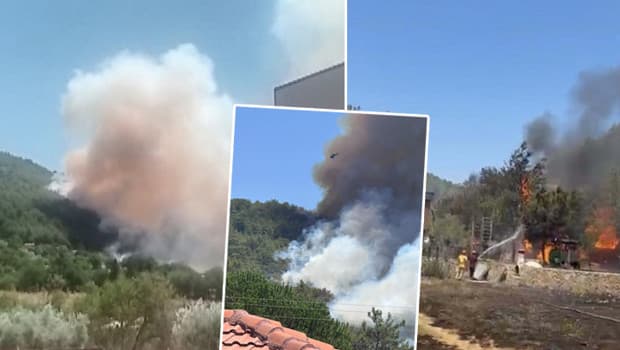 Muğla, Antalya, Aydın ve Afyonkarahisar'da orman yangınları başladı