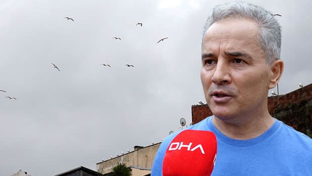 Karadeniz'de artan martı popülasyonu kent sakinlerini rahatsız ediyor