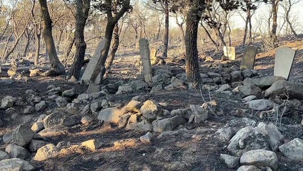Ayvalık'taki yangın mezarlığa sıçradı, birçok mezar hasar gördü
