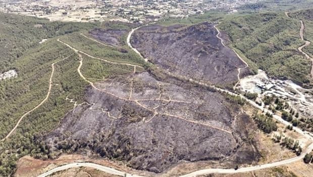 Balıkesir'de orman yangınına neden olan 2 kişi tutuklandı