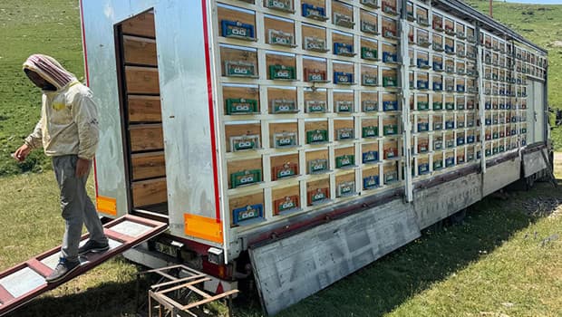 Karslı arıcı TIR dorsesini mobil bal üretim tesisine dönüştürdü