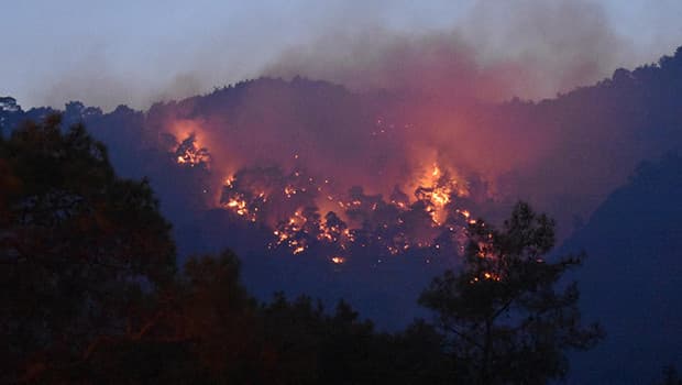 Kemer'de orman yangınına müdahale sürüyor
