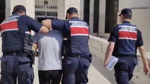 Edremit'te orman yangınıyla ilgili bir kişi tutuklandı