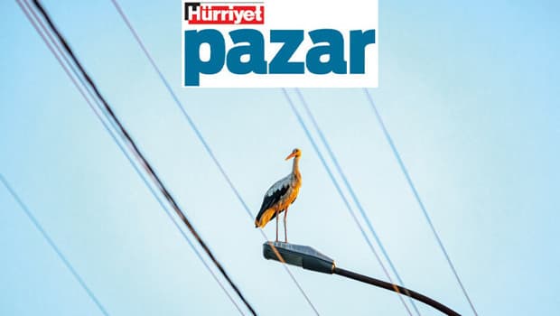 Leyleklerin korunması için önlemler alınmalı