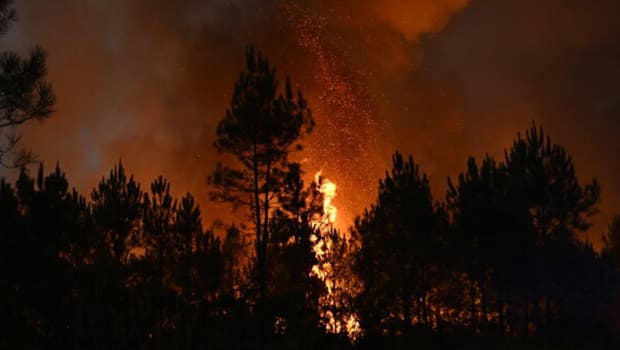 Belçika'da büyük orman yangınıyla mücadele sürüyor