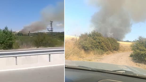 Çanakkale Ezine'de orman yangını başladı