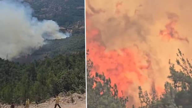 Balıkesir'de kamyondaki yangın ormana sıçradı, müdahale sürüyor