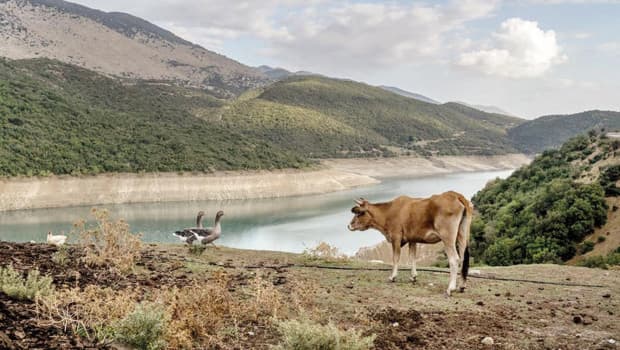 Yunanistan'ın haksız tarım yardımları daha büyük bir skandal olabilir