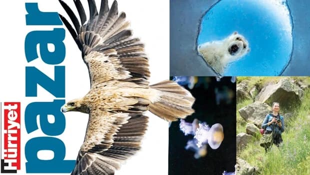 Türkiye'nin doğa envanteri güncelleniyor, yaban hayatı gelişiyor