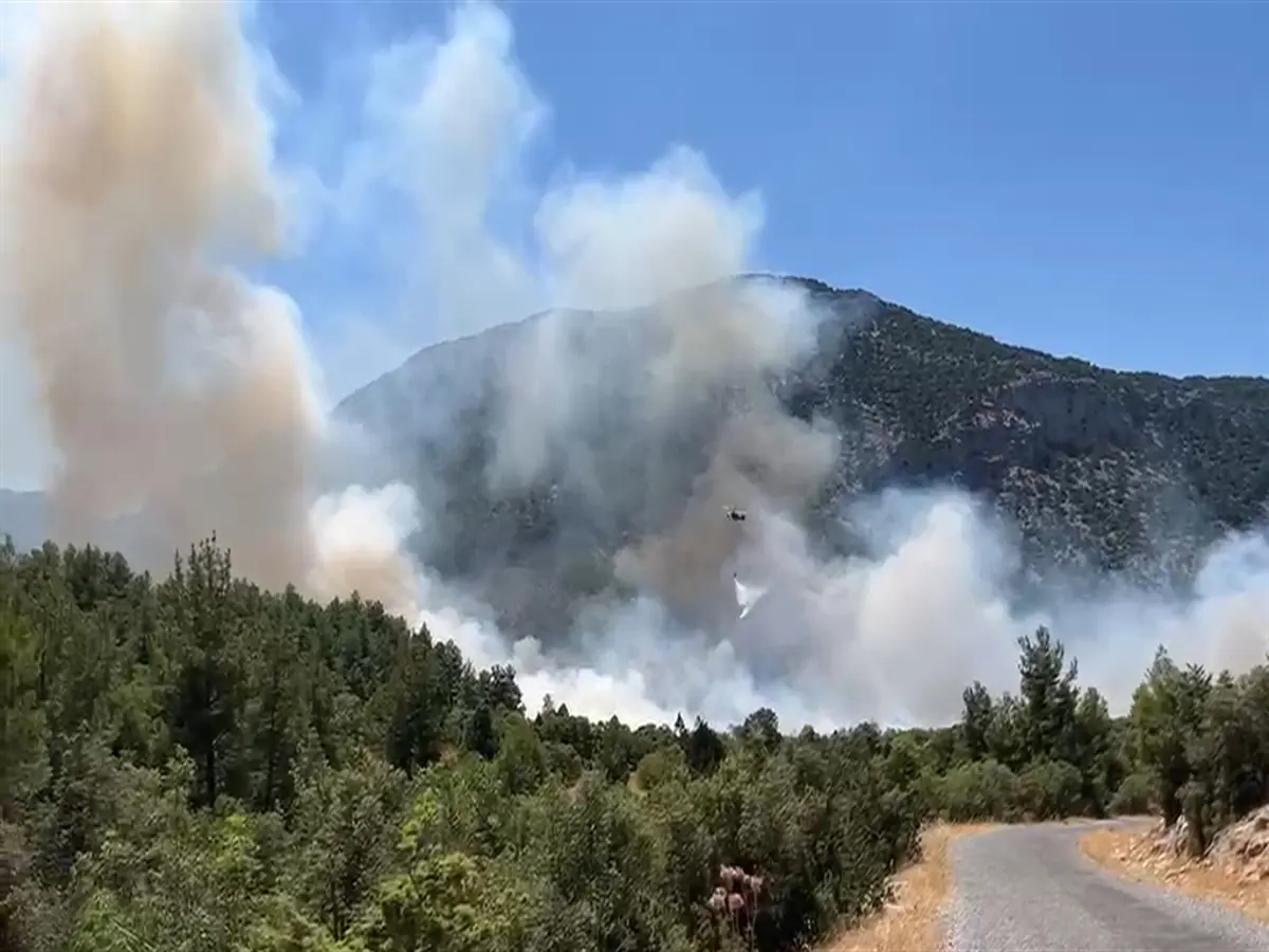 Antalya'da orman yangınına müdahale devam ediyor
