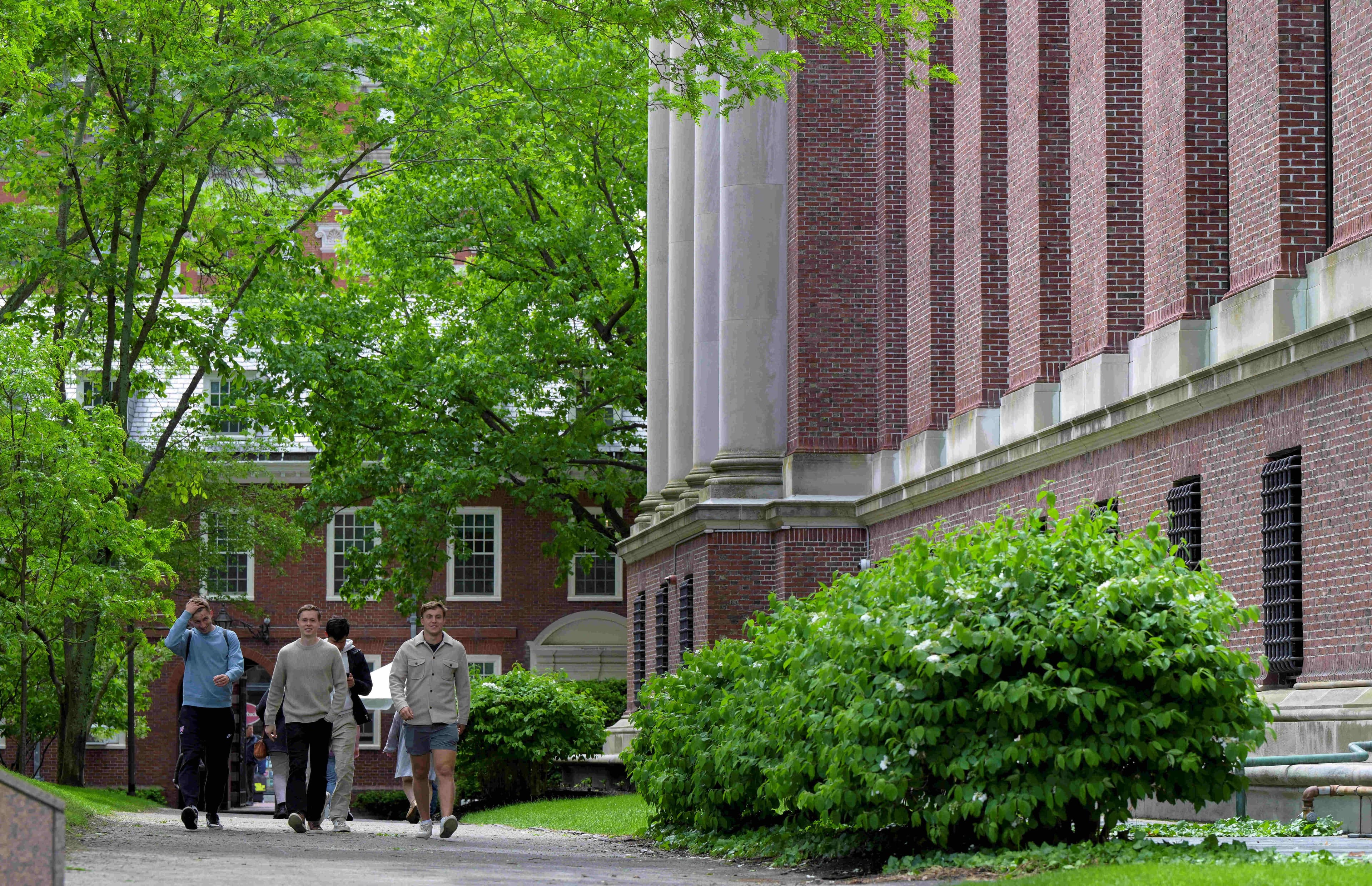 Harvard Üniversitesi A notlarına sınırlama getiriyor