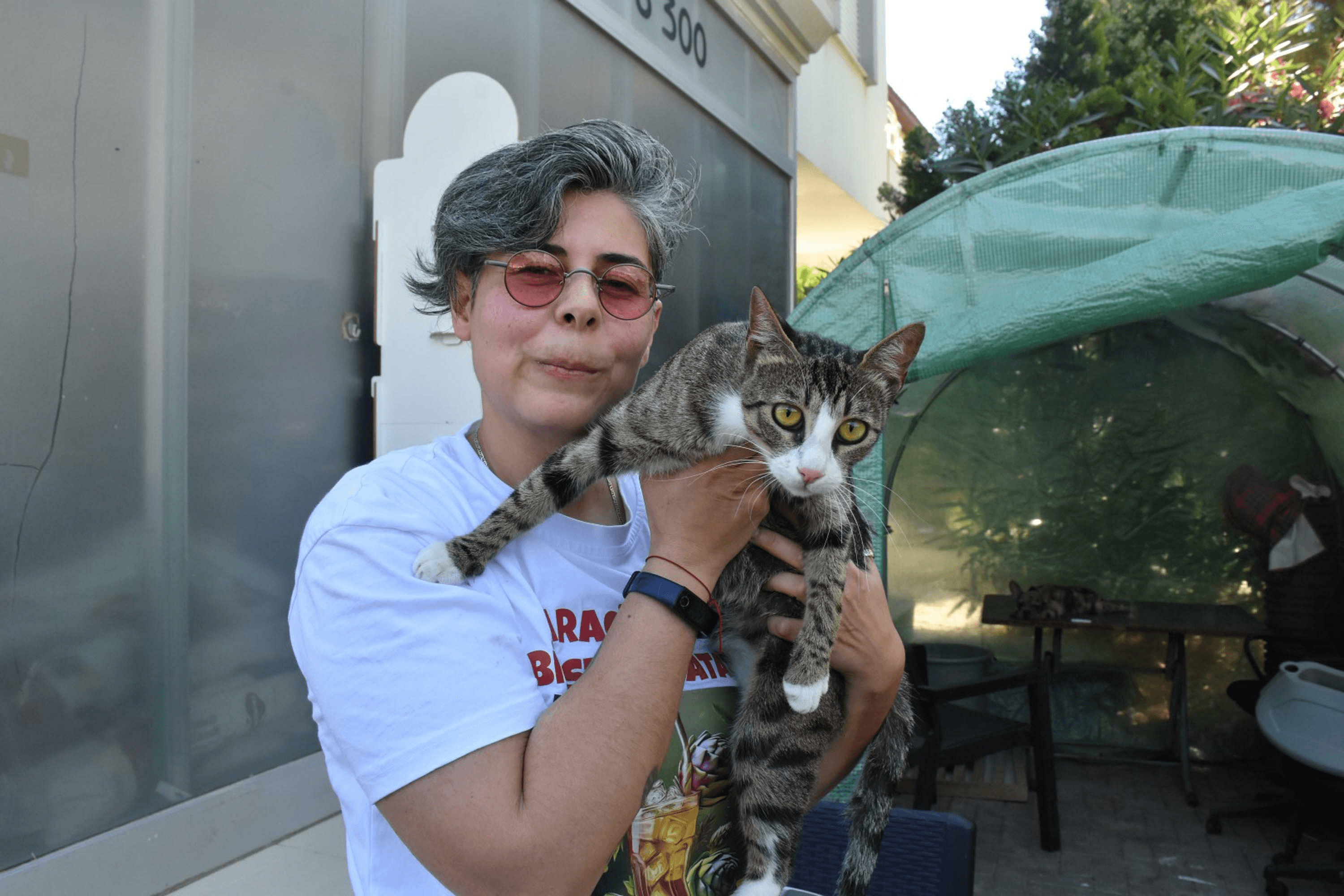 İzmir'de erkek kedinin doğum yapması şaşırttı