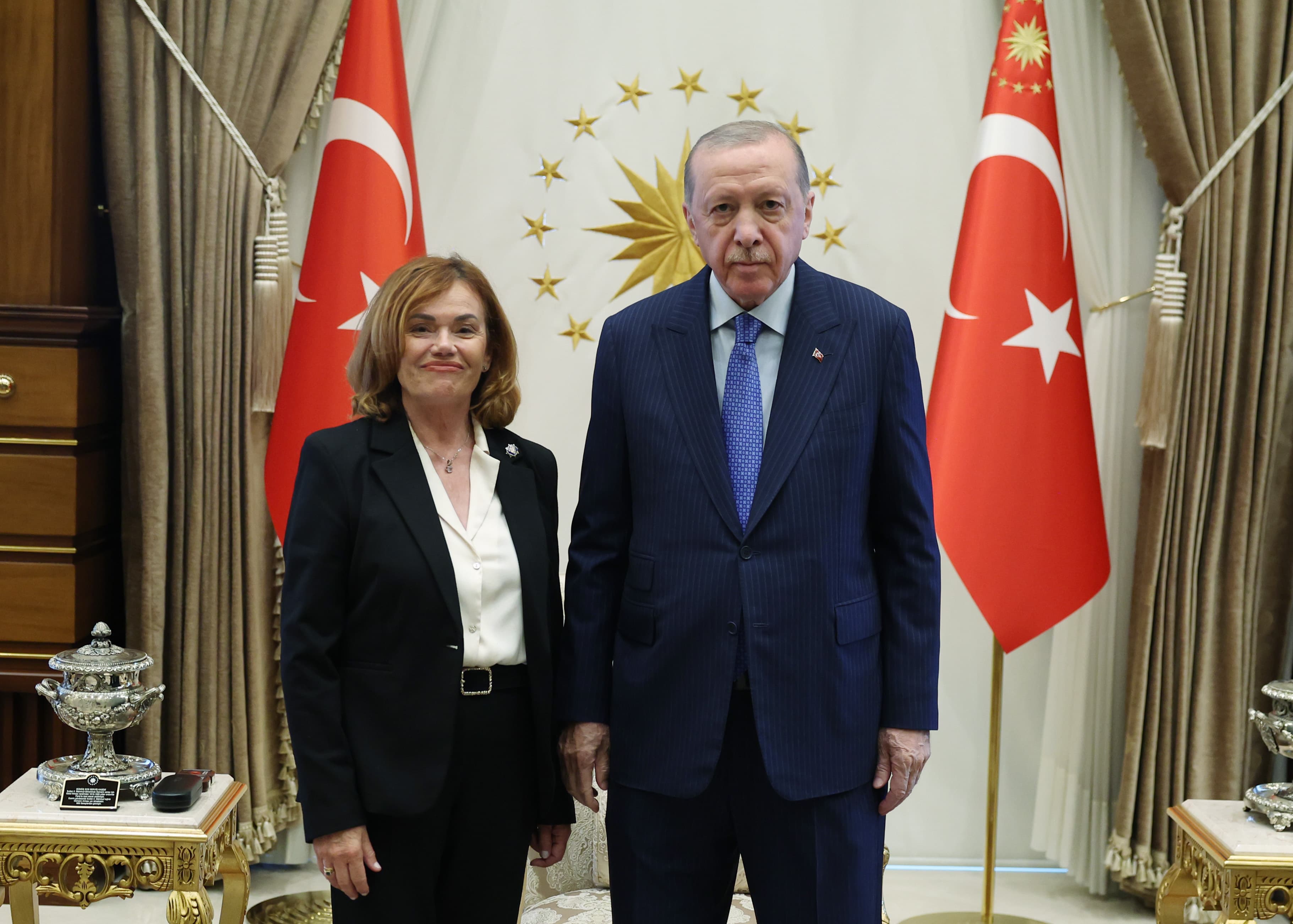 Cumhurbaşkanı Erdoğan, İspanya Anayasa Mahkemesi Başkanvekili ile görüştü