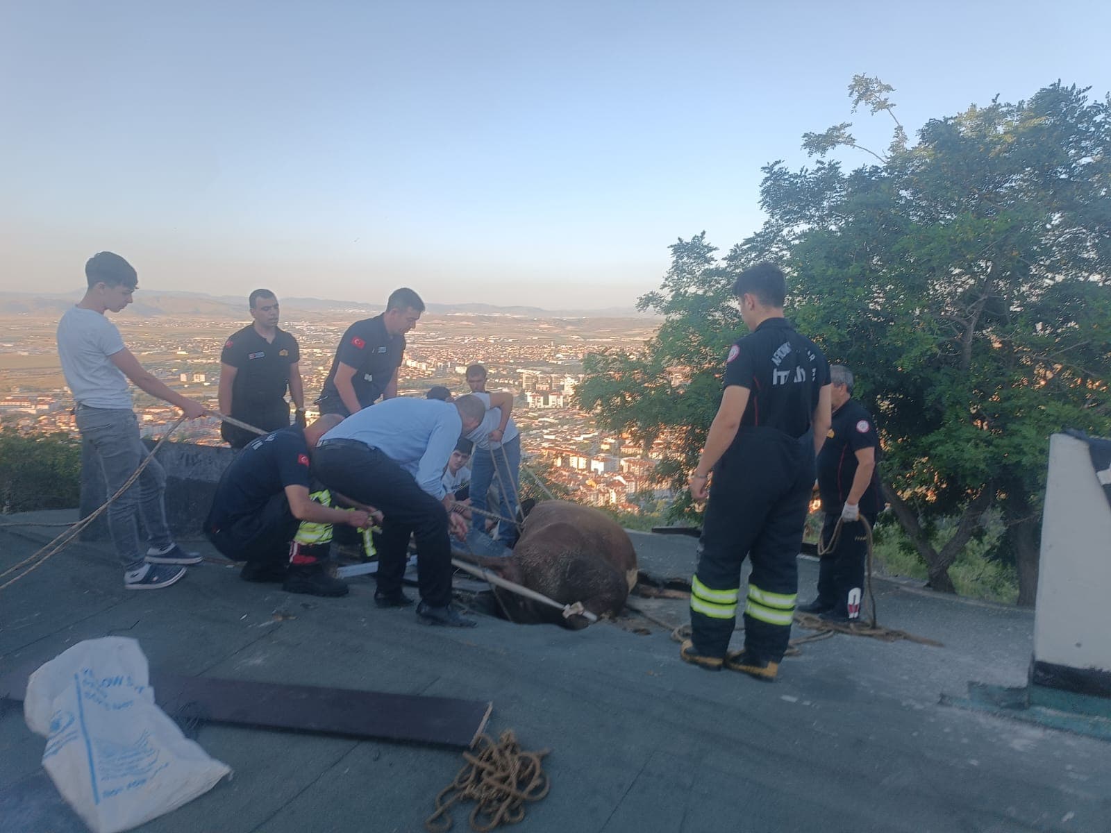 Afyonkarahisar'da itfaiye, çatıda sıkışan ineği kurtardı