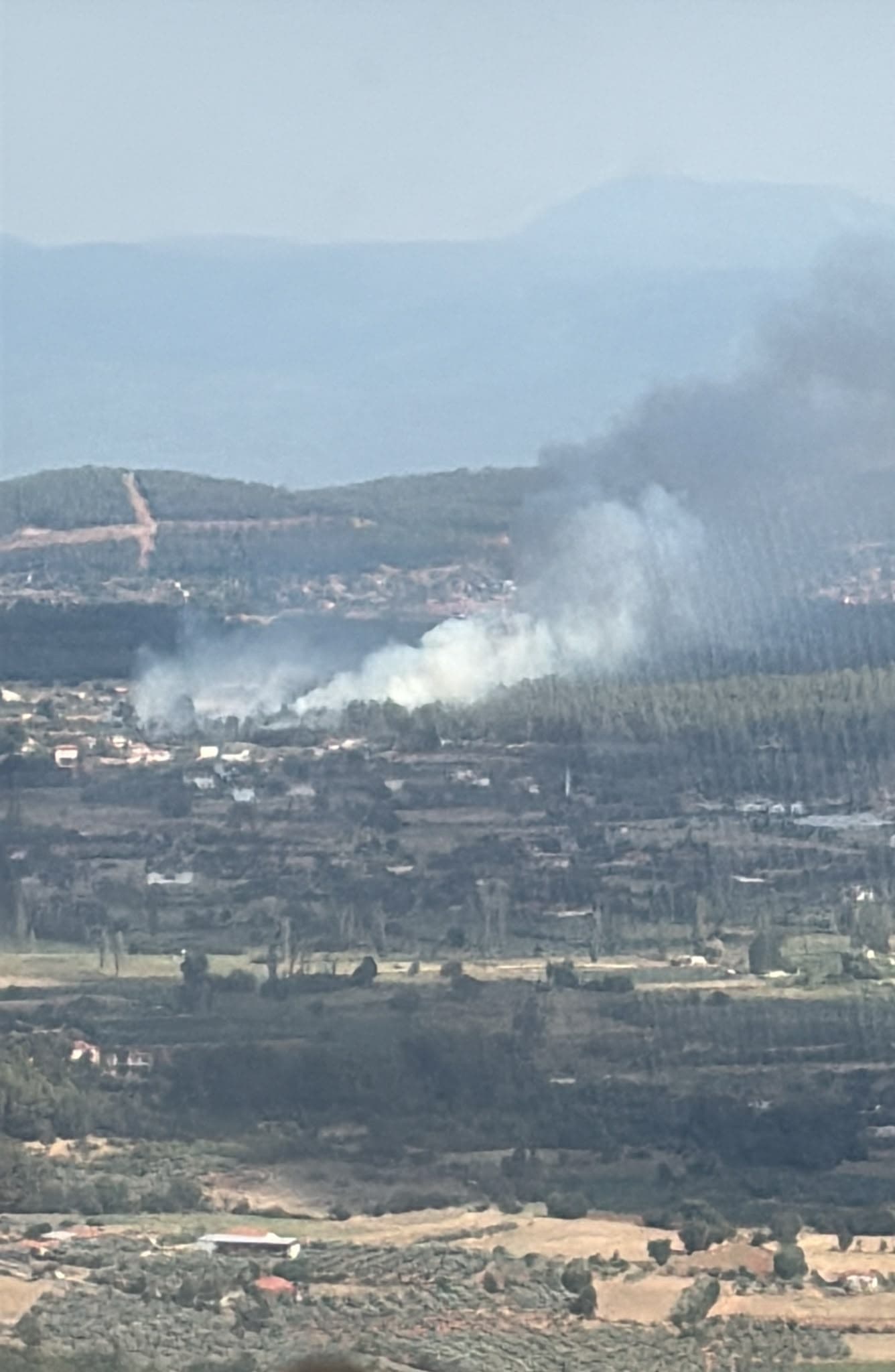 Muğla'da orman yangınına havadan ve karadan müdahale ediliyor
