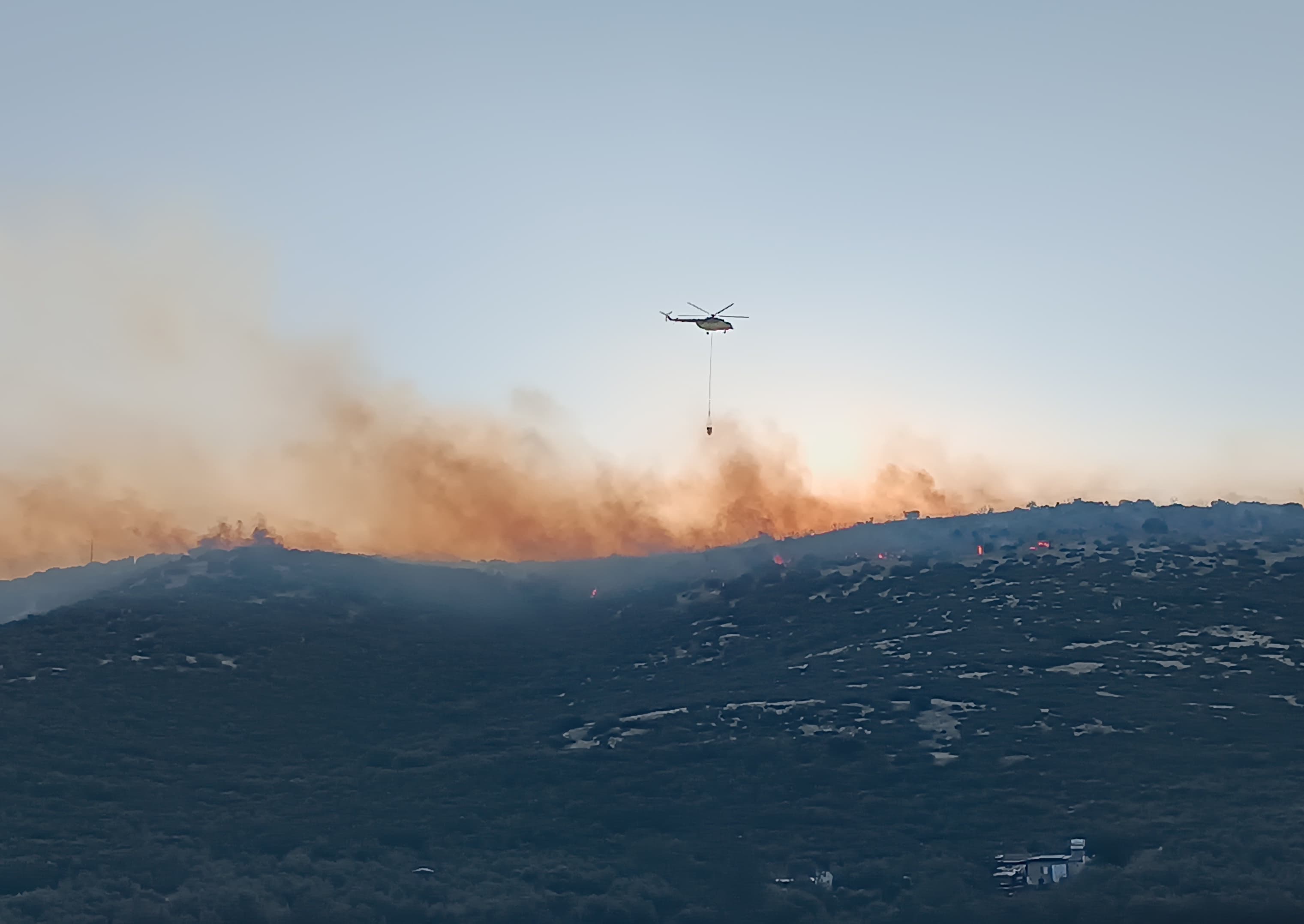 İzmir'de orman yangınına havadan ve karadan müdahale ediliyor