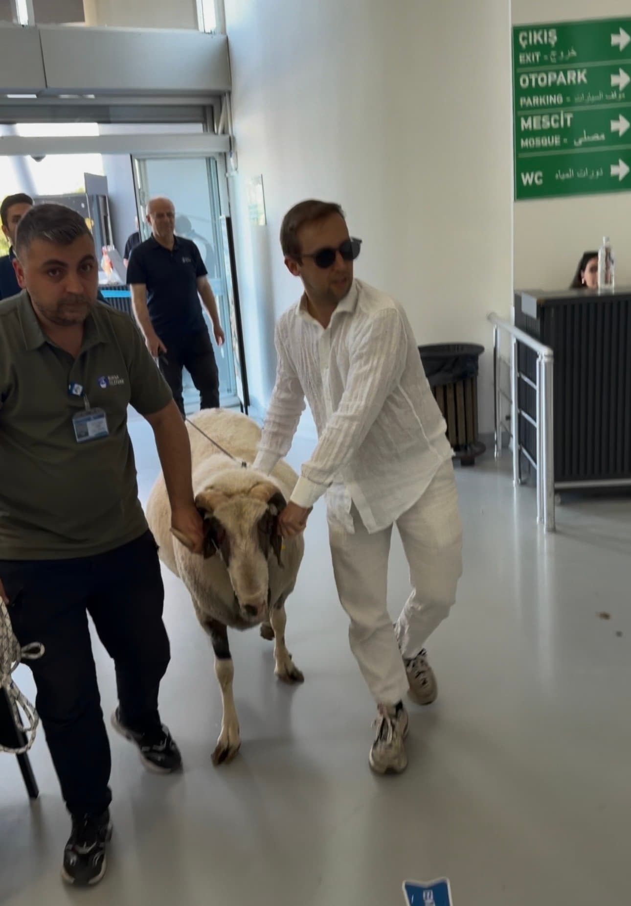 Bursa'da vatandaş bayramda keseceği koçla teleferik turu yaptı