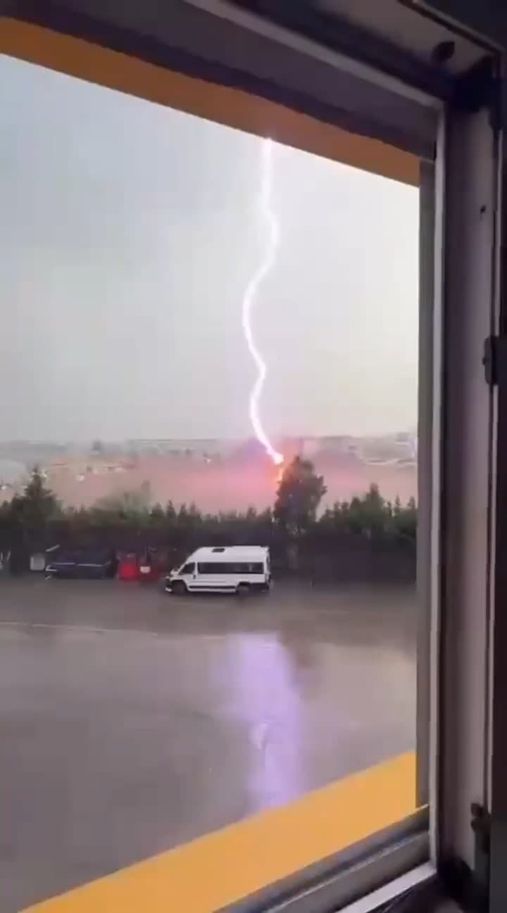 Tekirdağ'da palmiye ağacına yıldırım düştü ve yandı